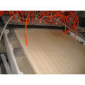 Wood and PVC WPC Panel Extrusion Machine (JG-MSB)